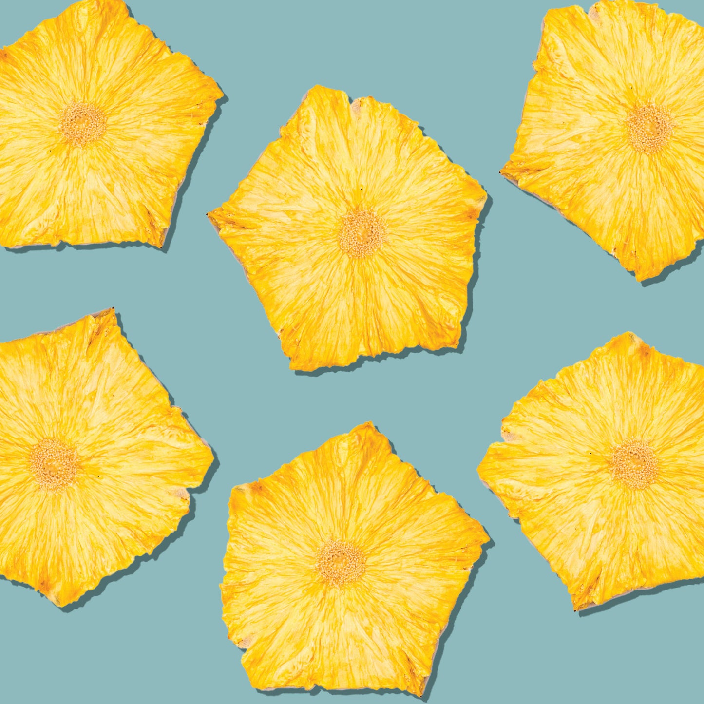 Dehydrated Pineapple Wheels