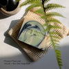 Elderflower Cordial Bar Soap