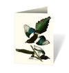 Audubon's Birds of America: An Abbeville Notecard: Cards