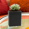 WGV Black Tall Flat Rectangle -2.5" x 10" H