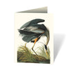 Audubon's Birds of America: An Abbeville Notecard: Cards