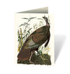 Audubon's Birds of America: An Abbeville Notecard: Cards