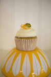 Sweet, Savory, and Sometimes Boozy Cupcakes: Hardcover