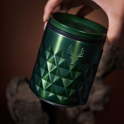 Paragon Ceramic Coated Tumbler w/ Lid - Satin Green