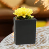 WGV Black Tall Flat Rectangle -2.5" x 10" H