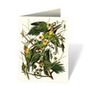 Audubon's Birds of America: An Abbeville Notecard: Cards